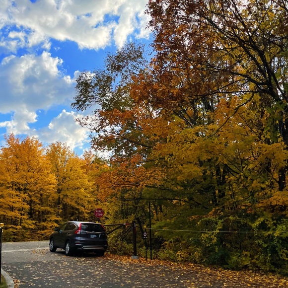 Meet your Posher, Jade - Picture 1 of 1